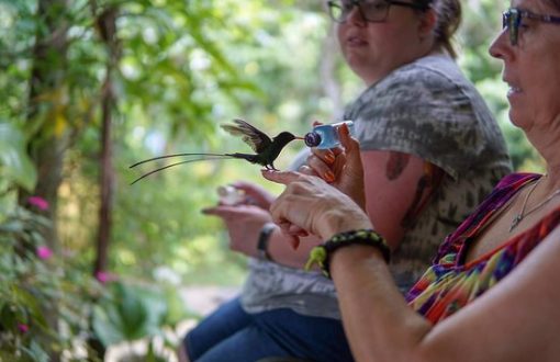 rockland-bird-sanctuary